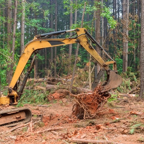 excavator providing land clearing