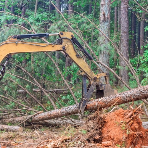 tractor providing land clearing services