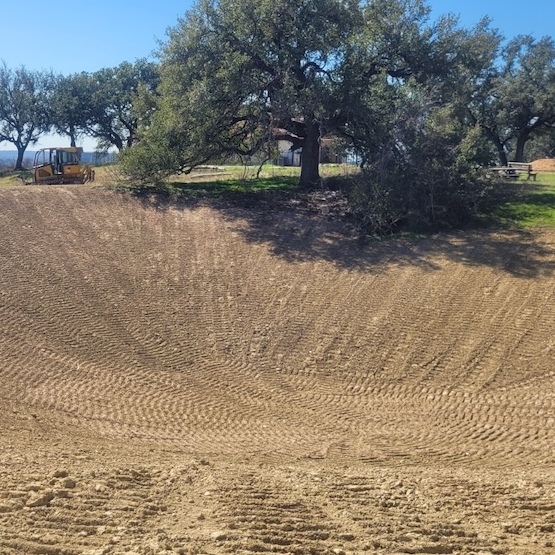 A brown ditch with a large oak tree in the background.